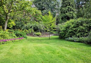 Optimiser l'expérience du jardin à Villers-Plouich